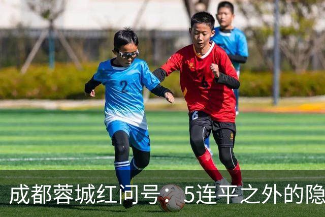 成都蓉城红问号：5连平之外的隐忧 亟需“一致对外”